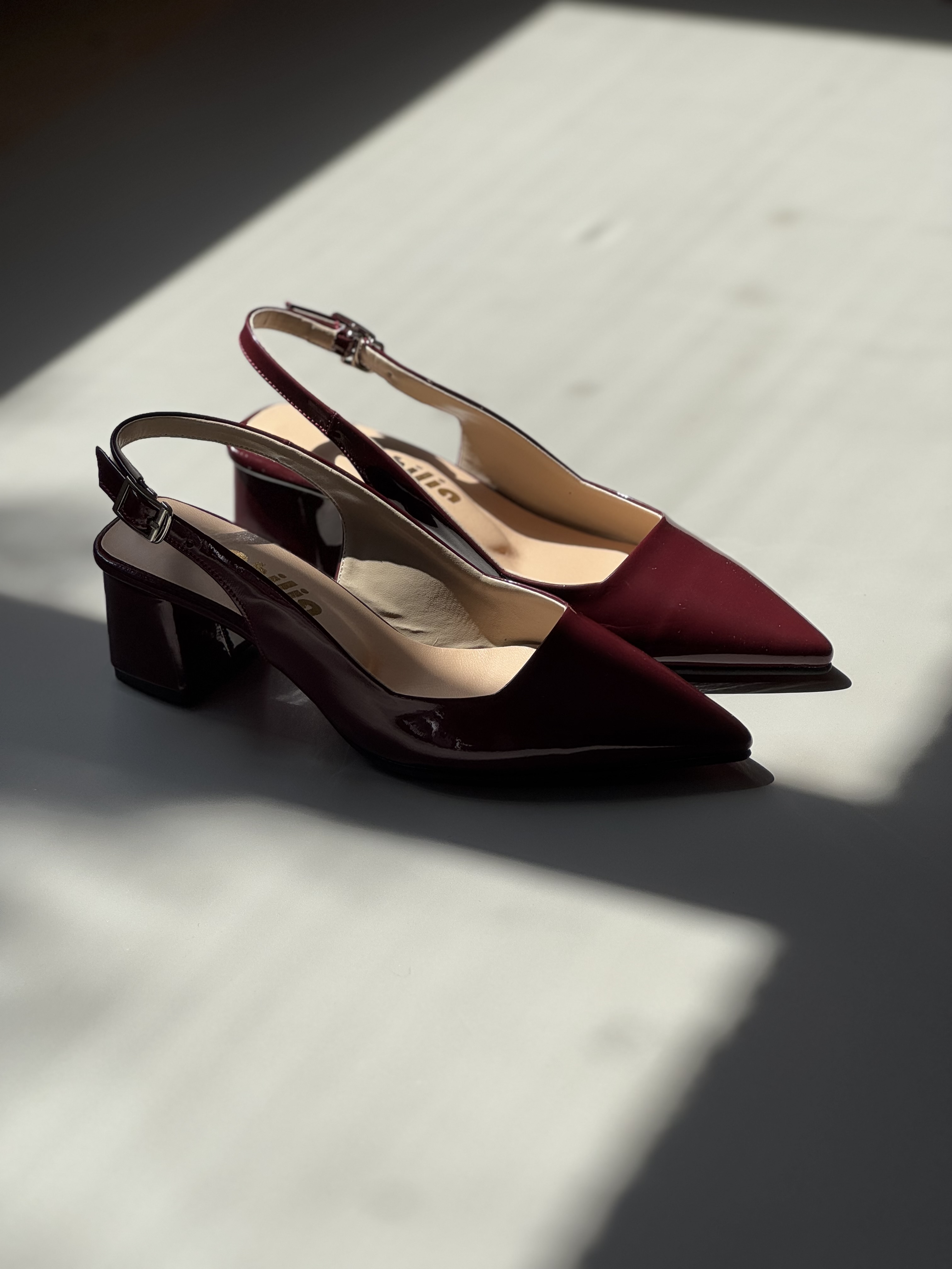 کد ۱۸۰ آلبالویی ورنی